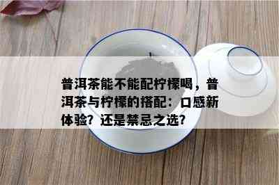 普洱茶能不能配柠檬喝，普洱茶与柠檬的搭配：口感新体验？还是禁忌之选？