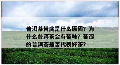 普洱茶苦底是什么原因？为什么普洱茶会有苦味？苦涩的普洱茶是否代表好茶？