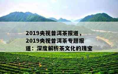 2019央视普洱茶报道，2019央视普洱茶专题报道：深度解析茶文化的瑰宝