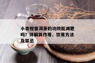 小青柑普洱茶的功效能减肥吗？详解其作用、饮用方法及禁忌