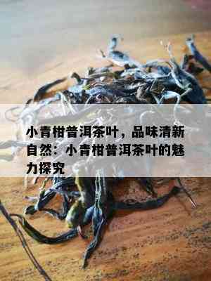 小青柑普洱茶叶，品味清新自然：小青柑普洱茶叶的魅力探究