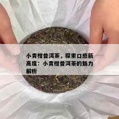 小青柑普洱茶，探索口感新高度：小青柑普洱茶的魅力解析