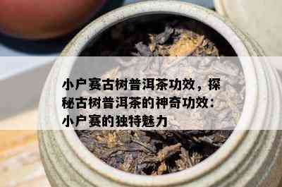 小户赛古树普洱茶功效，探秘古树普洱茶的神奇功效：小户赛的特别魅力