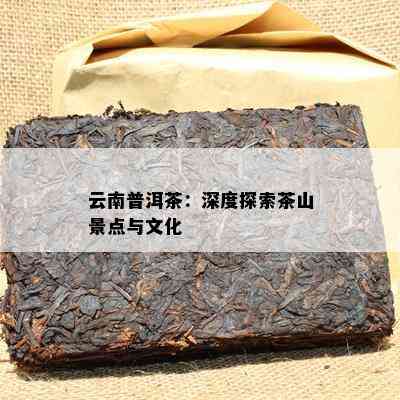 云南普洱茶：深度探索茶山景点与文化