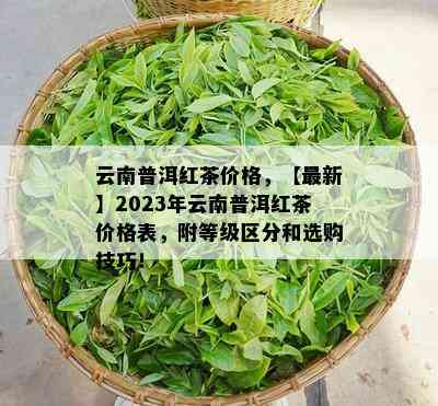 云南普洱红茶价格，【最新】2023年云南普洱红茶价格表，附等级区分和选购技巧！