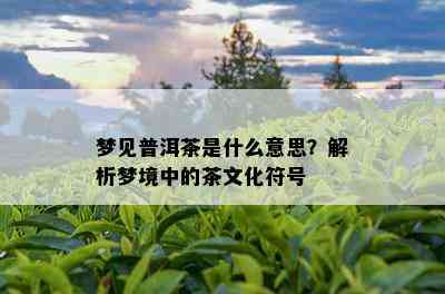 梦见普洱茶是什么意思？解析梦境中的茶文化符号