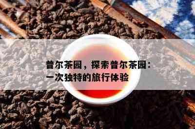 普尔茶园，探索普尔茶园：一次特别的旅行体验