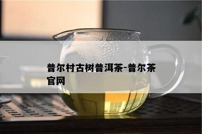 普尔村古树普洱茶-普尔茶官网