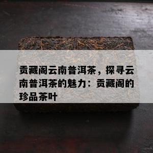 贡藏阁云南普洱茶，探寻云南普洱茶的魅力：贡藏阁的珍品茶叶