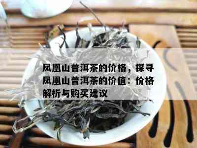 凤凰山普洱茶的价格，探寻凤凰山普洱茶的价值：价格解析与购买建议