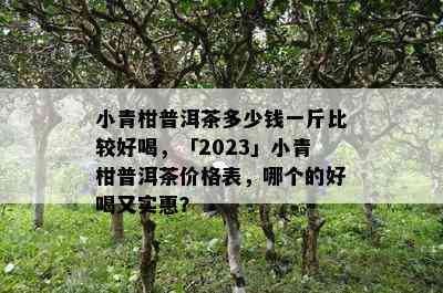 小青柑普洱茶多少钱一斤比较好喝，「2023」小青柑普洱茶价格表，哪个的好喝又实惠？