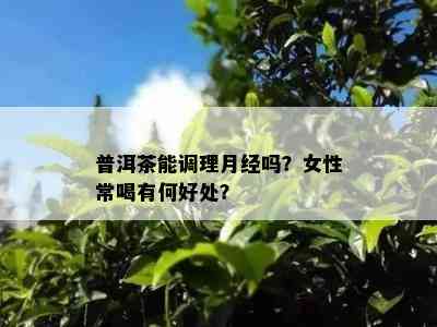 普洱茶能调理月经吗？女性常喝有何好处？