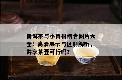 普洱茶与小青柑结合图片大全：高清展示与区别解析，共享茶壶可行吗？