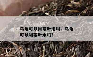 乌龟可以用茶叶泡吗，乌龟可以喝茶叶水吗？