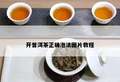 开普洱茶正确泡法图片教程