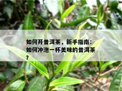 怎样开普洱茶，新手指南：怎样冲泡一杯美味的普洱茶？