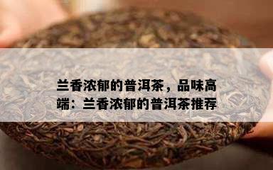 兰香浓郁的普洱茶，品味高端：兰香浓郁的普洱茶推荐