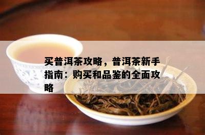 买普洱茶攻略，普洱茶新手指南：购买和品鉴的全面攻略