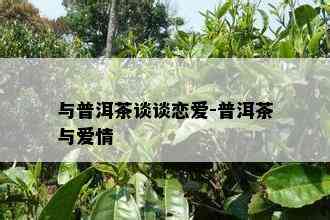 与普洱茶谈谈恋爱-普洱茶与爱情