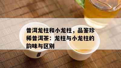 普洱龙柱和小龙柱，品鉴珍稀普洱茶：龙柱与小龙柱的韵味与区别