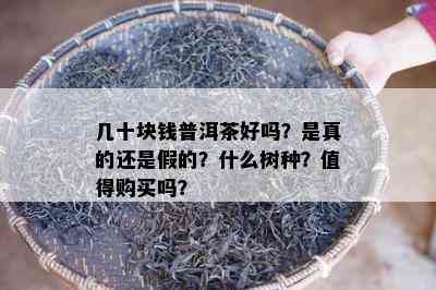 几十块钱普洱茶好吗？是真的还是假的？什么树种？值得购买吗？