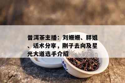 普洱茶主播：刘姗姗、胖姐、话术分享，刚子去向及星光大道选手介绍