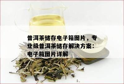 普洱茶储存箱图片，专业级普洱茶储存解决方案：箱图片详解