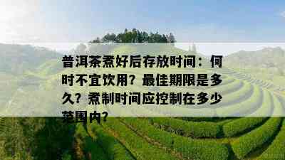 普洱茶煮好后存放时间：何时不宜饮用？更佳期限是多久？煮制时间应控制在多少范围内？