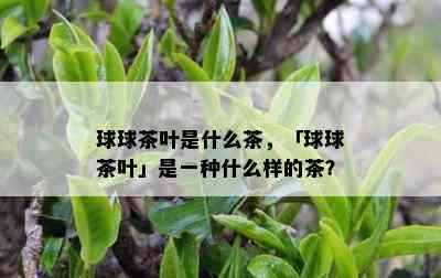 球球茶叶是什么茶，「球球茶叶」是一种什么样的茶？