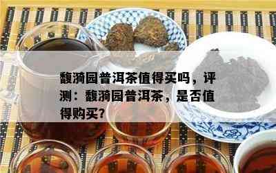 馥漪园普洱茶值得买吗，评测：馥漪园普洱茶，是不是值得购买？