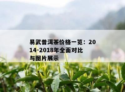 易武普洱茶价格一览：2014-2018年全面对比与图片展示