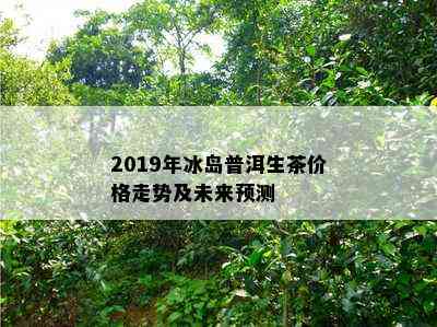 2019年冰岛普洱生茶价格走势及未来预测