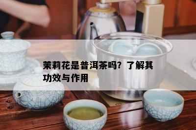 茉莉花是普洱茶吗？了解其功效与作用