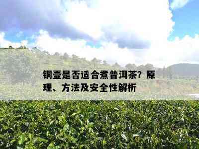 铜壶是不是适合煮普洱茶？原理、方法及安全性解析