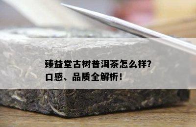 臻益堂古树普洱茶怎么样？口感、品质全解析！