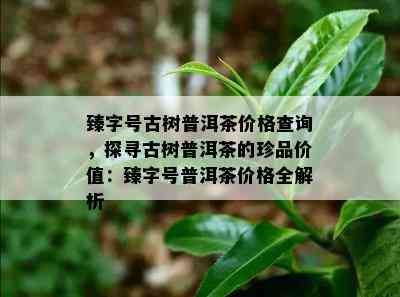 臻字号古树普洱茶价格查询，探寻古树普洱茶的珍品价值：臻字号普洱茶价格全解析