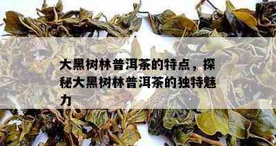 大黑树林普洱茶的特点，探秘大黑树林普洱茶的独特魅力