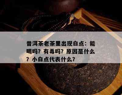 普洱茶老茶里出现白点：能喝吗？有吗？起因是什么？小白点代表什么？