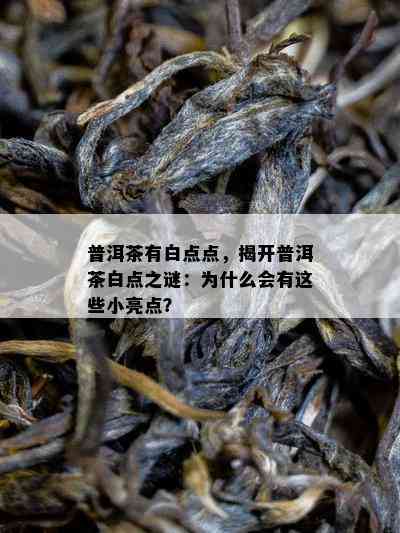 普洱茶有白点点，揭开普洱茶白点之谜：为什么会有这些小亮点？