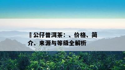 孖公仔普洱茶：、价格、简介、来源与等级全解析