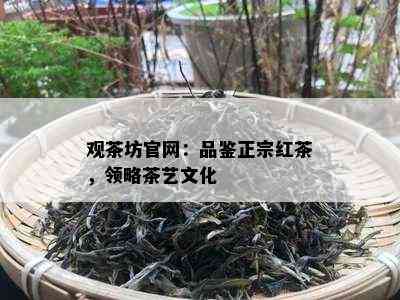 观茶坊官网：品鉴正宗红茶，领略茶艺文化