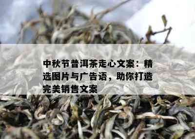 中秋节普洱茶走心文案：精选图片与广告语，助你打造完美销售文案