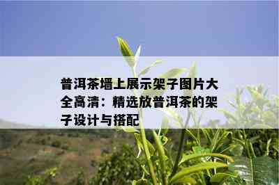 普洱茶墙上展示架子图片大全高清：精选放普洱茶的架子设计与搭配