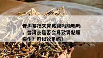 普洱茶损失胃粘膜吗能喝吗，普洱茶是否会导致胃黏膜损伤？可以饮用吗？