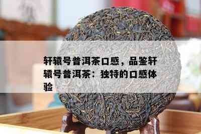 轩辕号普洱茶口感，品鉴轩辕号普洱茶：特别的口感体验