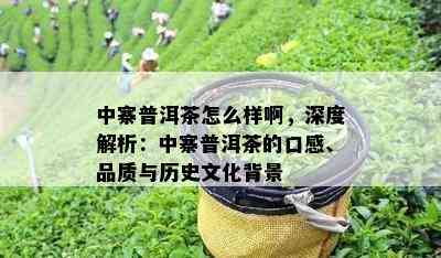 中寨普洱茶怎么样啊，深度解析：中寨普洱茶的口感、品质与历史文化背景