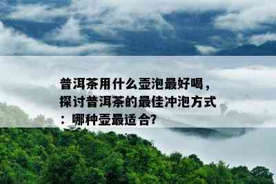 普洱茶用什么壶泡更好喝，探讨普洱茶的更佳冲泡方法：哪种壶最适合？