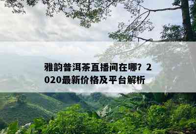 雅韵普洱茶直播间在哪？2020最新价格及平台解析