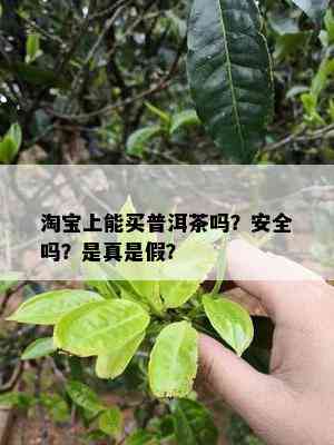 淘宝上能买普洱茶吗？安全吗？是真是假？