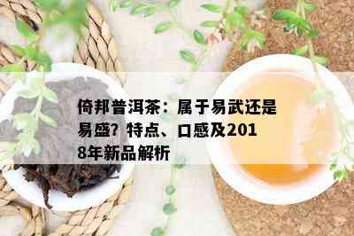 倚邦普洱茶：属于易武还是易盛？特点、口感及2018年新品解析